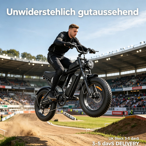 48v 6ah fat tire mountain - 48v,