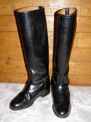 Regent pro cotswold - cotswold, black