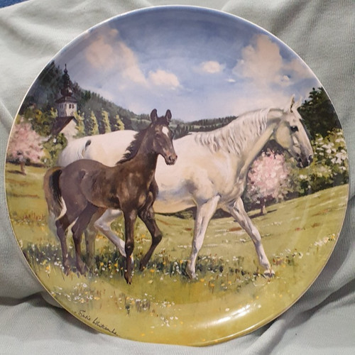 The noble horse - noble,
