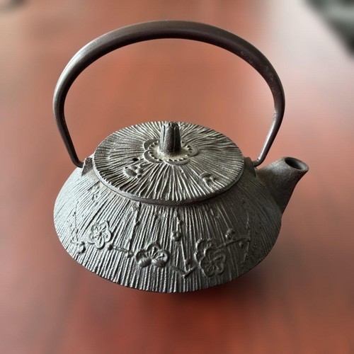 Nanbu tekki teapot kettle iron - tekki,