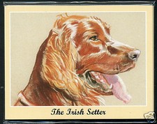 THE IRISH SETTER - Man's Best