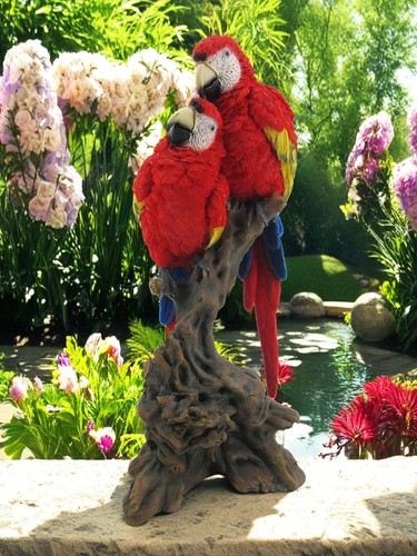 Pair parrot garden bird - pair, of
