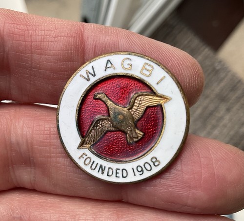 Vintage wagbi enamel pin - vintage,
