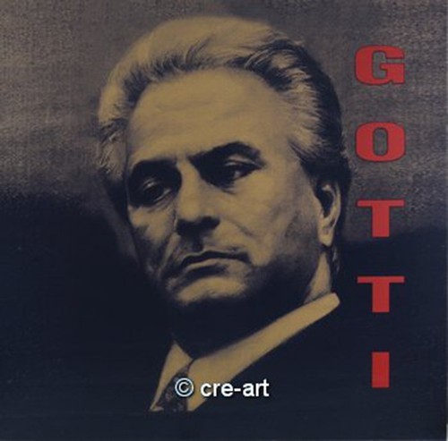 Steve kaufman gotti - ",