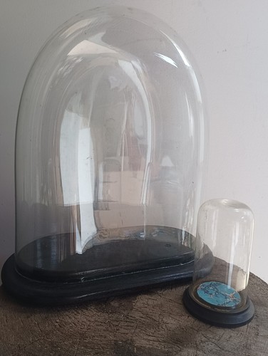 Antique large glass dome - glass,