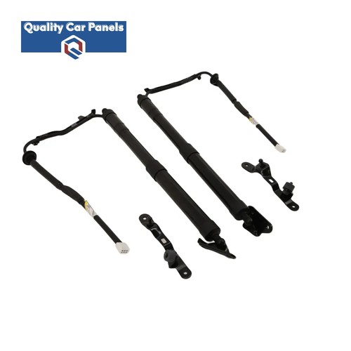 Electric tailgate gas struts - electric,