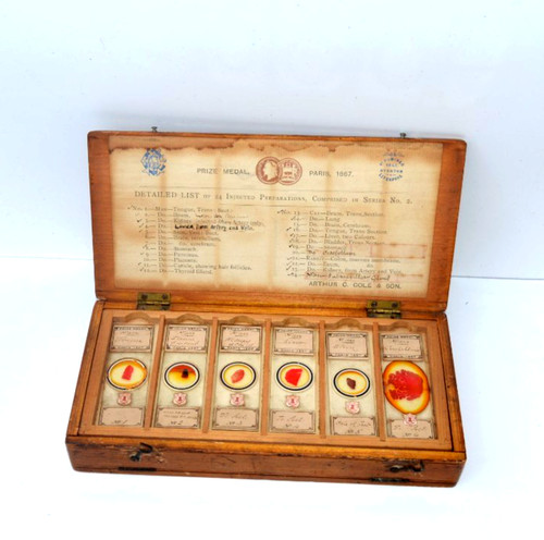 Set microscope slides by - set,