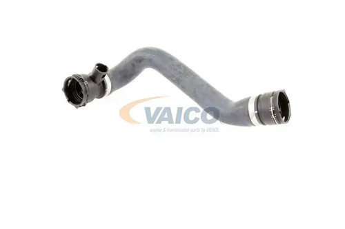 Cooling system hose lower - cooling,