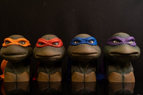 Teenage mutant ninja turtles - ninja,