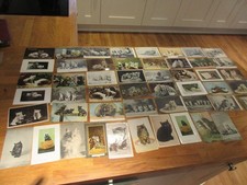 50 x Cute Cats & Kittens Postcards Lot - dated from 1905 onwards  #4