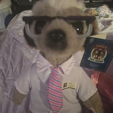 Sergei meerkat soft toy - meerkat,