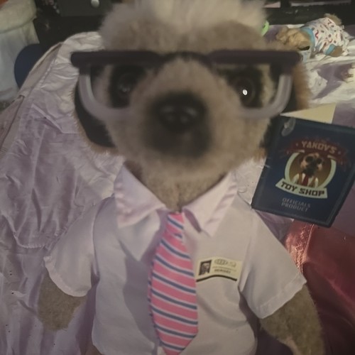 Sergei meerkat soft toy - sergei,