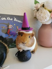 Halloween costume hat broom or Cauldron small pet cat Guinea pig small dog rabb