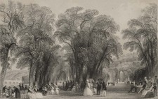Bentley (*1809) to Allom