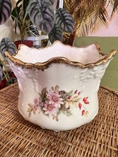 Vintage Staffordshire Plant