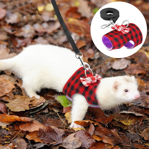 Hamster rat ferret vest - ferret,