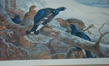 1934. ARCHIBALD THORBURN