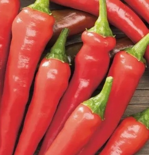 Organic chilli pepper de - 2x,