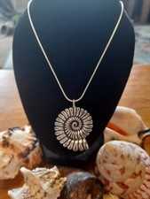 Ammonite antique style fossil