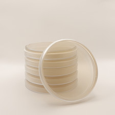 6x Pre-poured MEA (Malt Extract Agar) Agar Petri Dishes in 90mm Plates