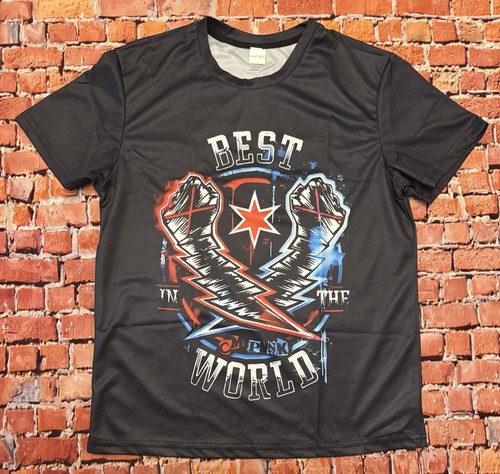 Punk wwe best the world - cm,