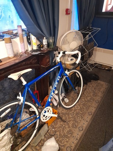 Carrera racing bike large - carrera,