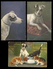 SMOOTH FOX TERRIER JACK