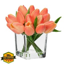 DILATATA Peach Tulips in Vase