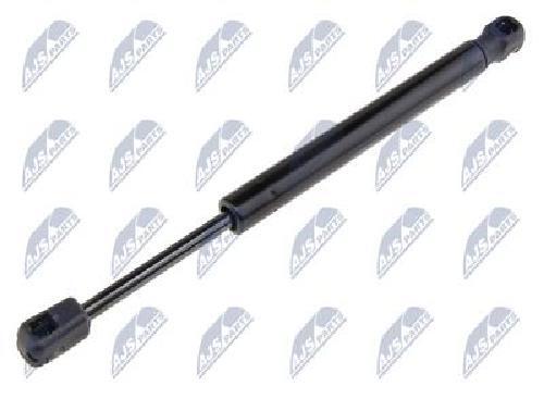 Original nty gas spring - nty,