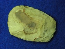 FLINT CELT 2-1/8" KENTUCKY