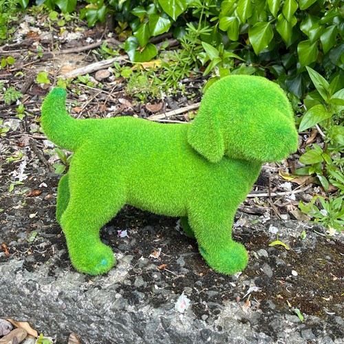 Garden ornaments and statues - ornaments,