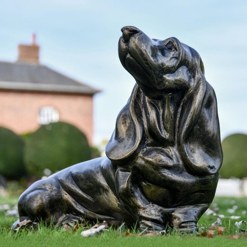 Gold basset hound garden - basset,