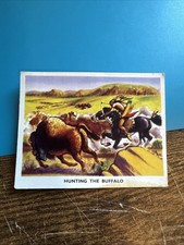 1959 HUNTING BUFFALO -