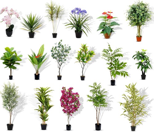 Artificial plotted plant - artificial,