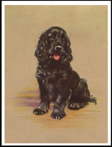 Cocker spaniel lovely - dog, art