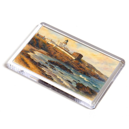 Fridge magnet the - magnet,