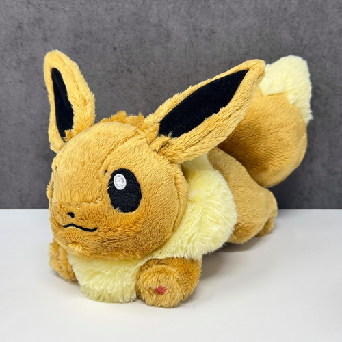 Official pokemon center - official, 2018