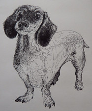 Original Hand Drawn Pen & Ink