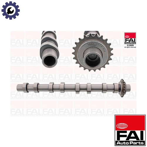 Camshaft c619 for - camshaft,