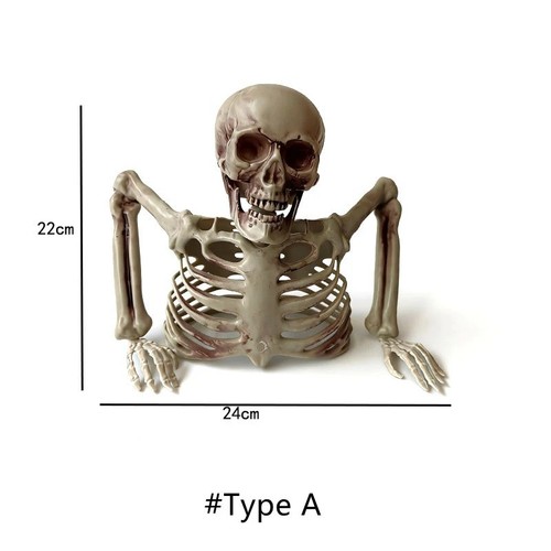 Halloween half body skeleton - halloween,