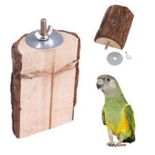 Natural Wooden Parrot Bird