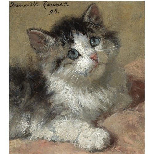Henriette ronner knip cat - cat, 7x5