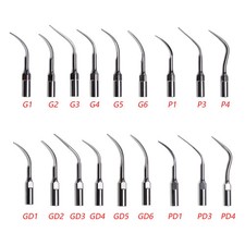 10 X Dental Ultrasonic Scaler
