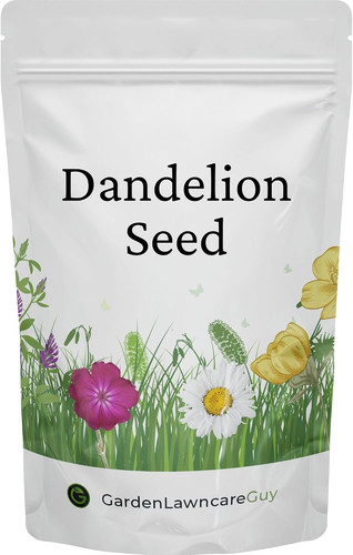 Dandelion seed natural - dandelion,
