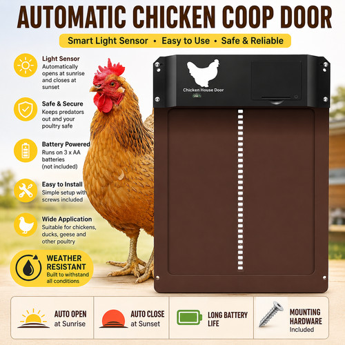 Automatic chicken coop door - chicken,