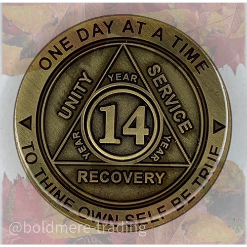 Year alcoholics anonymous - alcoholics,