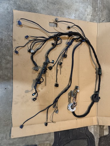 2005 2006 acura rsx type - 2005-2006,