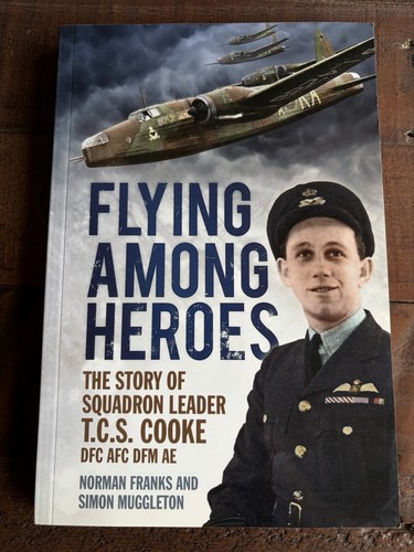 Flying among heroes the story - among,