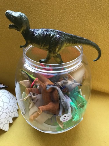 Toy dinosaur egg various
