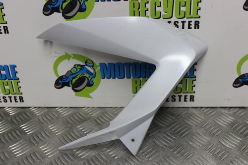 Kawasaki panel fairing - r,